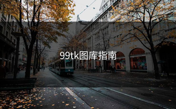 99tk图库指南