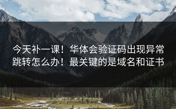 今天补一课！华体会验证码出现异常跳转怎么办！最关键的是域名和证书