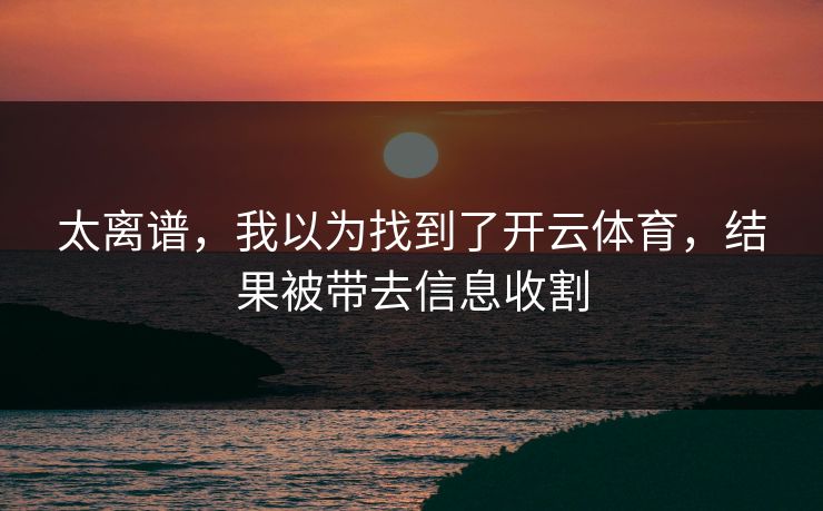 太离谱，我以为找到了开云体育，结果被带去信息收割