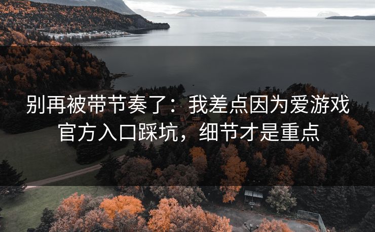 别再被带节奏了：我差点因为爱游戏官方入口踩坑，细节才是重点