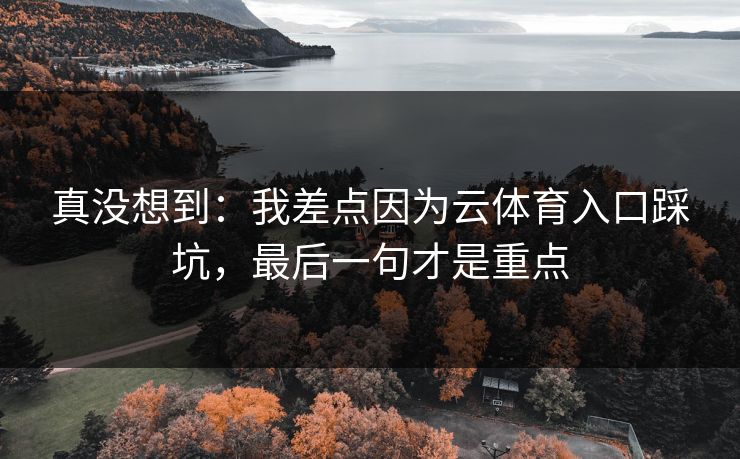 真没想到：我差点因为云体育入口踩坑，最后一句才是重点