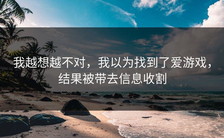 我越想越不对，我以为找到了爱游戏，结果被带去信息收割