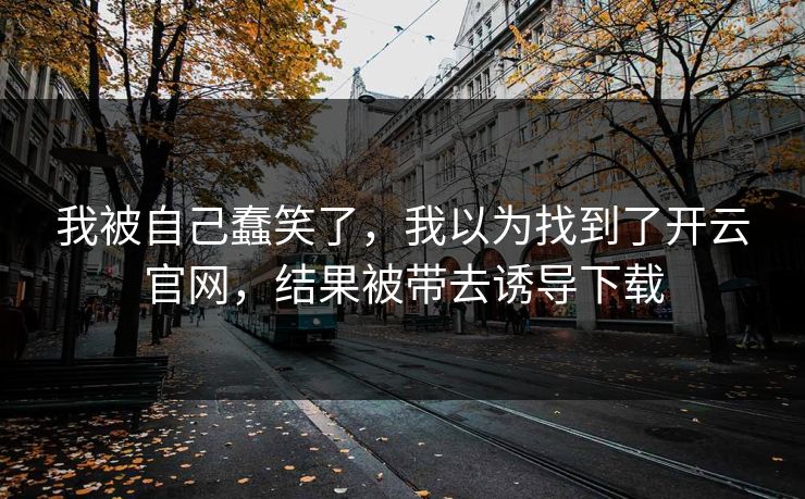我被自己蠢笑了，我以为找到了开云官网，结果被带去诱导下载