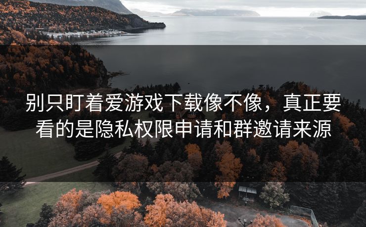 别只盯着爱游戏下载像不像，真正要看的是隐私权限申请和群邀请来源