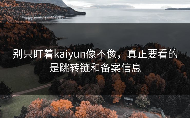 别只盯着kaiyun像不像，真正要看的是跳转链和备案信息